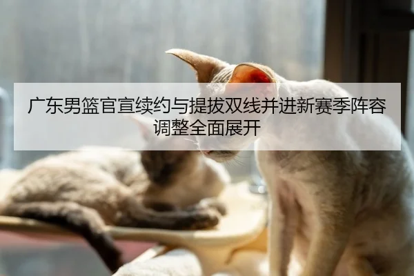 广东男篮官宣续约与提拔双线并进新赛季阵容调整全面展开